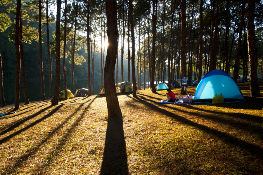 camping Hourtin emplacement tente